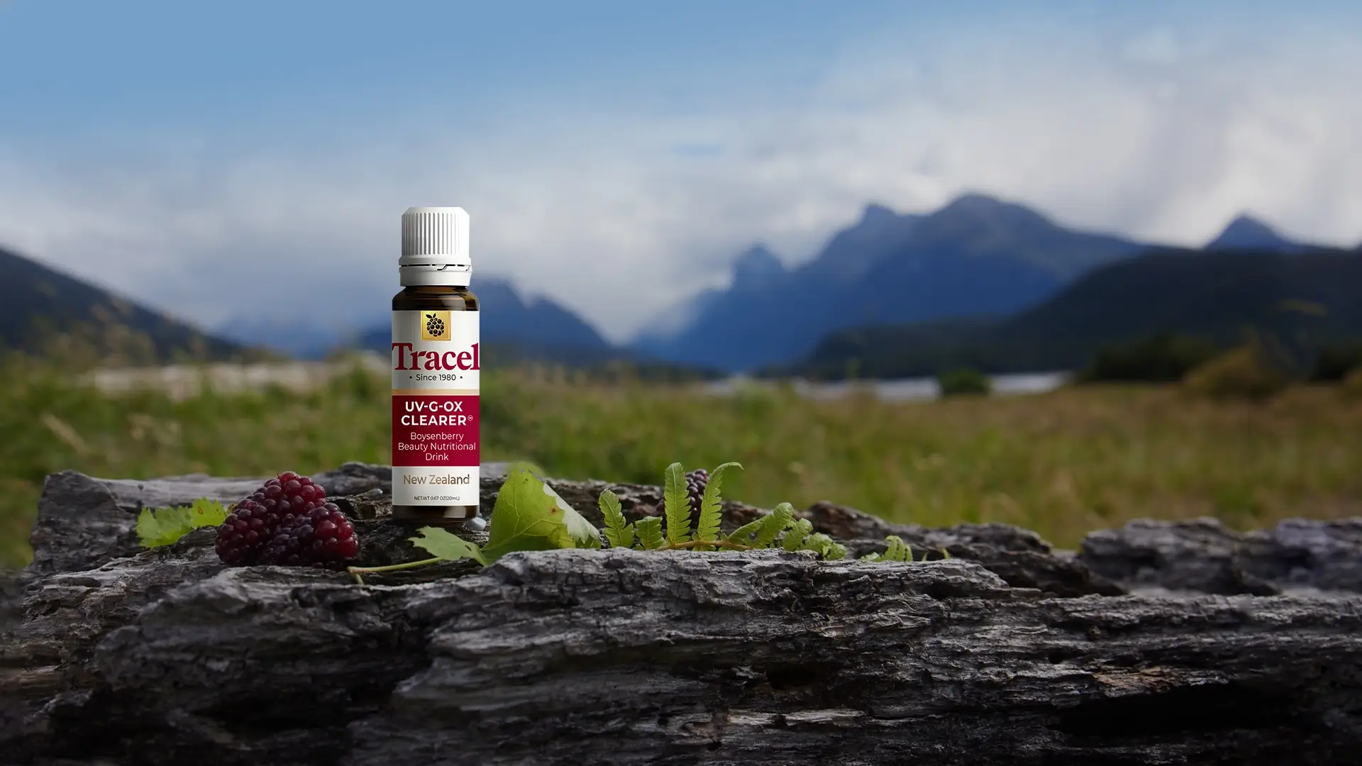 全0配方 天然更健康